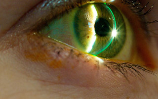 Close-up of a green eye